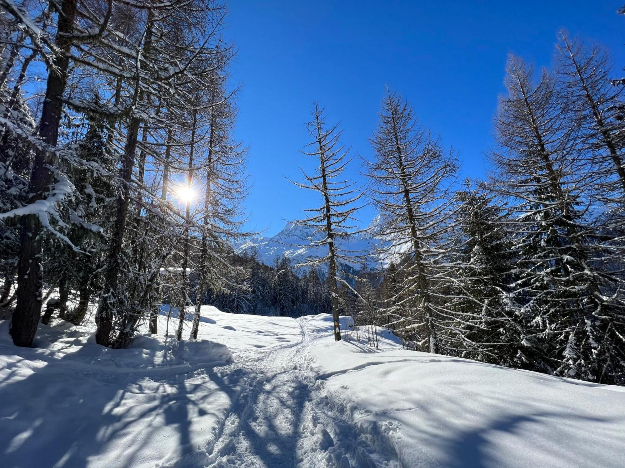Chalet Altus Sainte-Foy-Tarentaise Zewnętrze zdjęcie